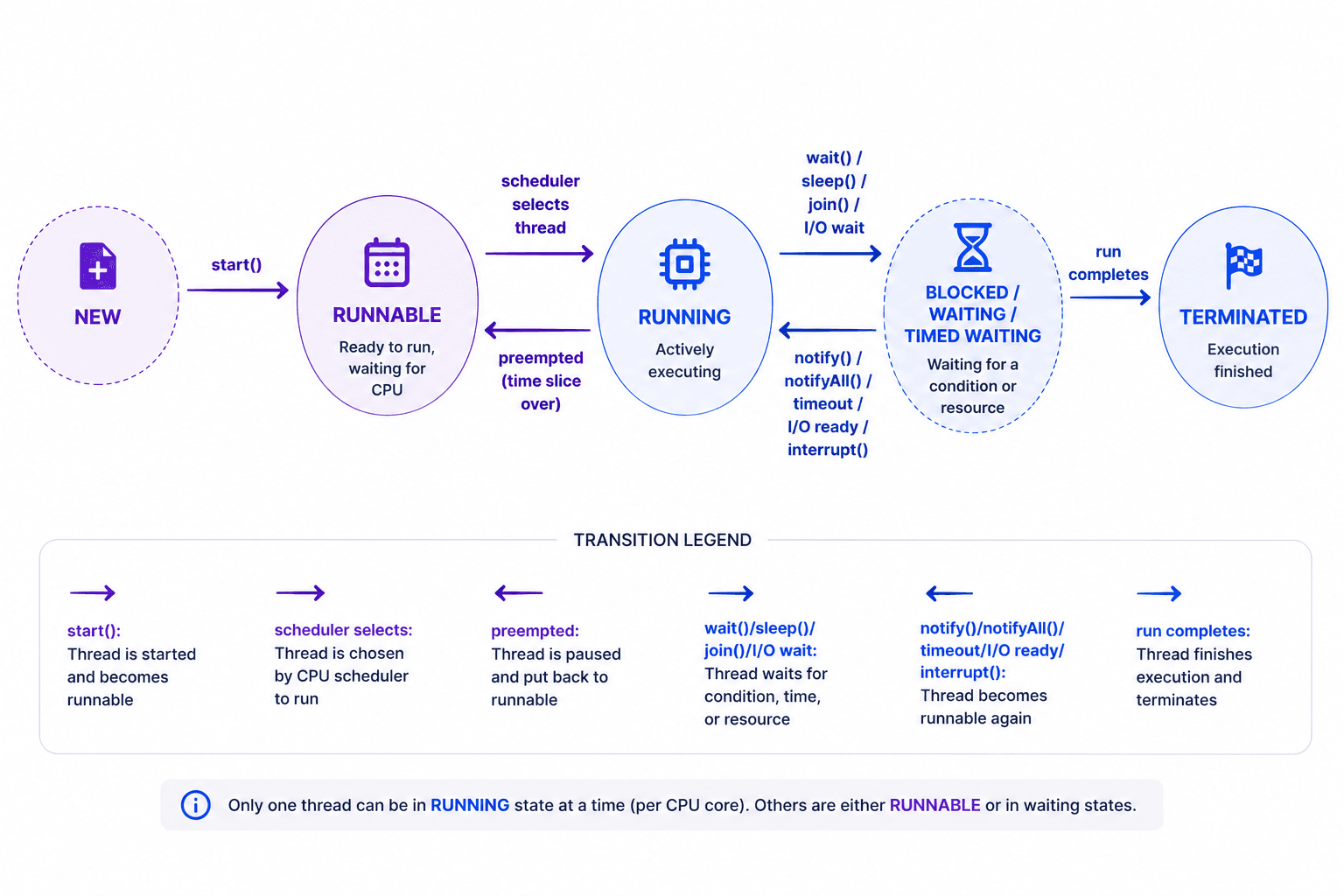 New → Runnable → Running → (Blocked/Waiting/Timed Waiting) → Terminated